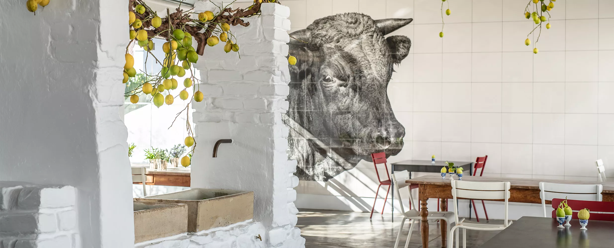 babel-1669643970.jpg Babel at Babylonstoren inside