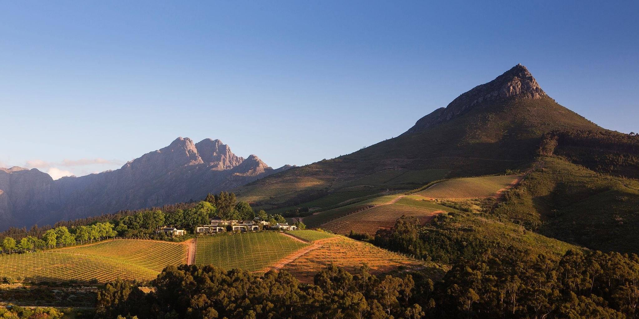 Vue sur les vignobles de Stellenbosch
